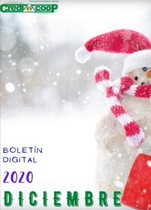 Boletín digital diciembre 2020